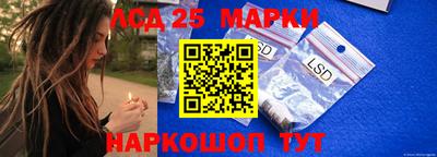 гидропоника Гагарин