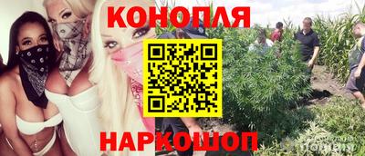 а пвп мука Гатчина