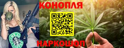 гидропоника Гагарин