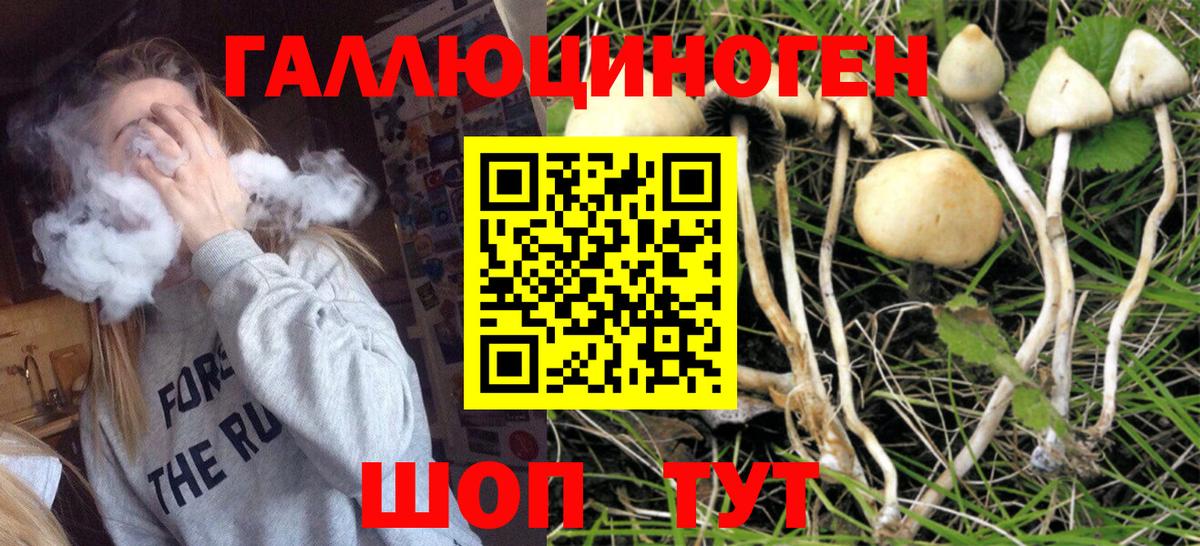 Ноябрьск  Галлюциногенные грибы GOLDEN TEACHER  Вход с VPN 