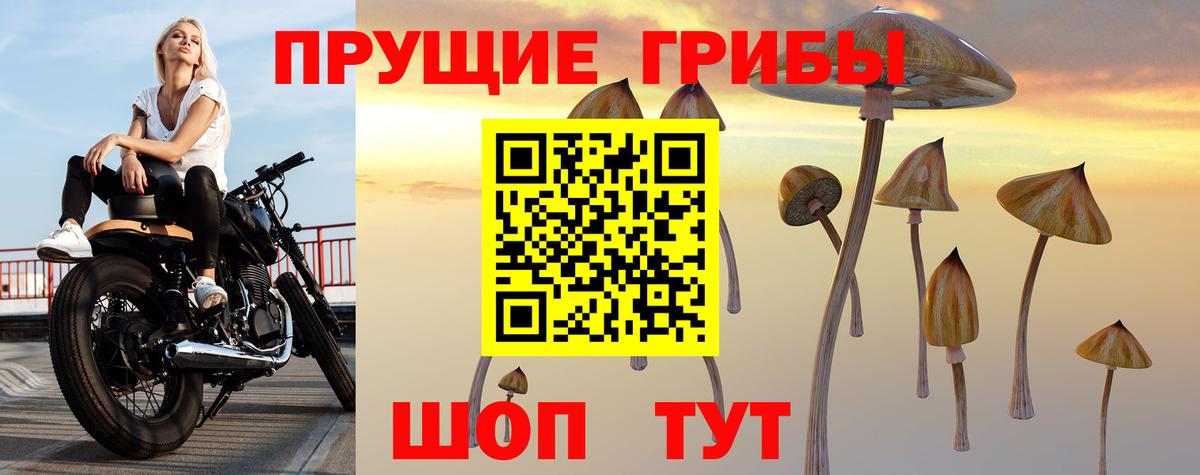 Псилоцибиновые грибы ЛСД Ноябрьск